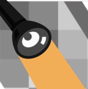 Introducing the FlaSH Group